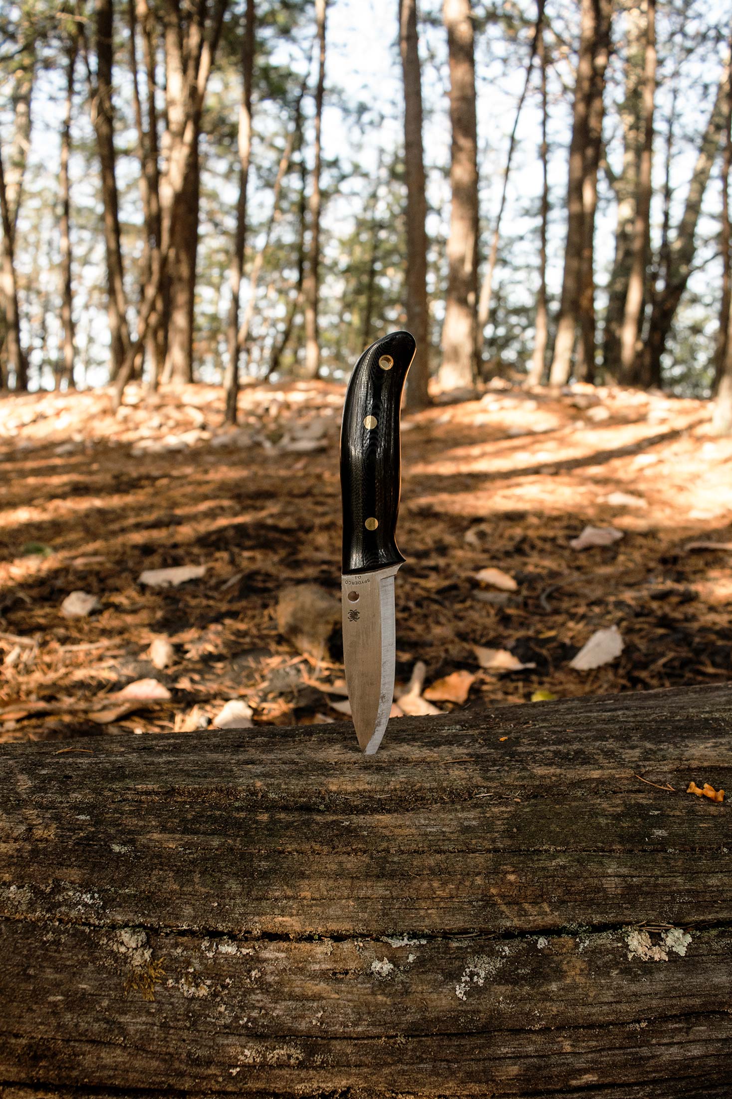 Spyderco Bushcraft Knife Review