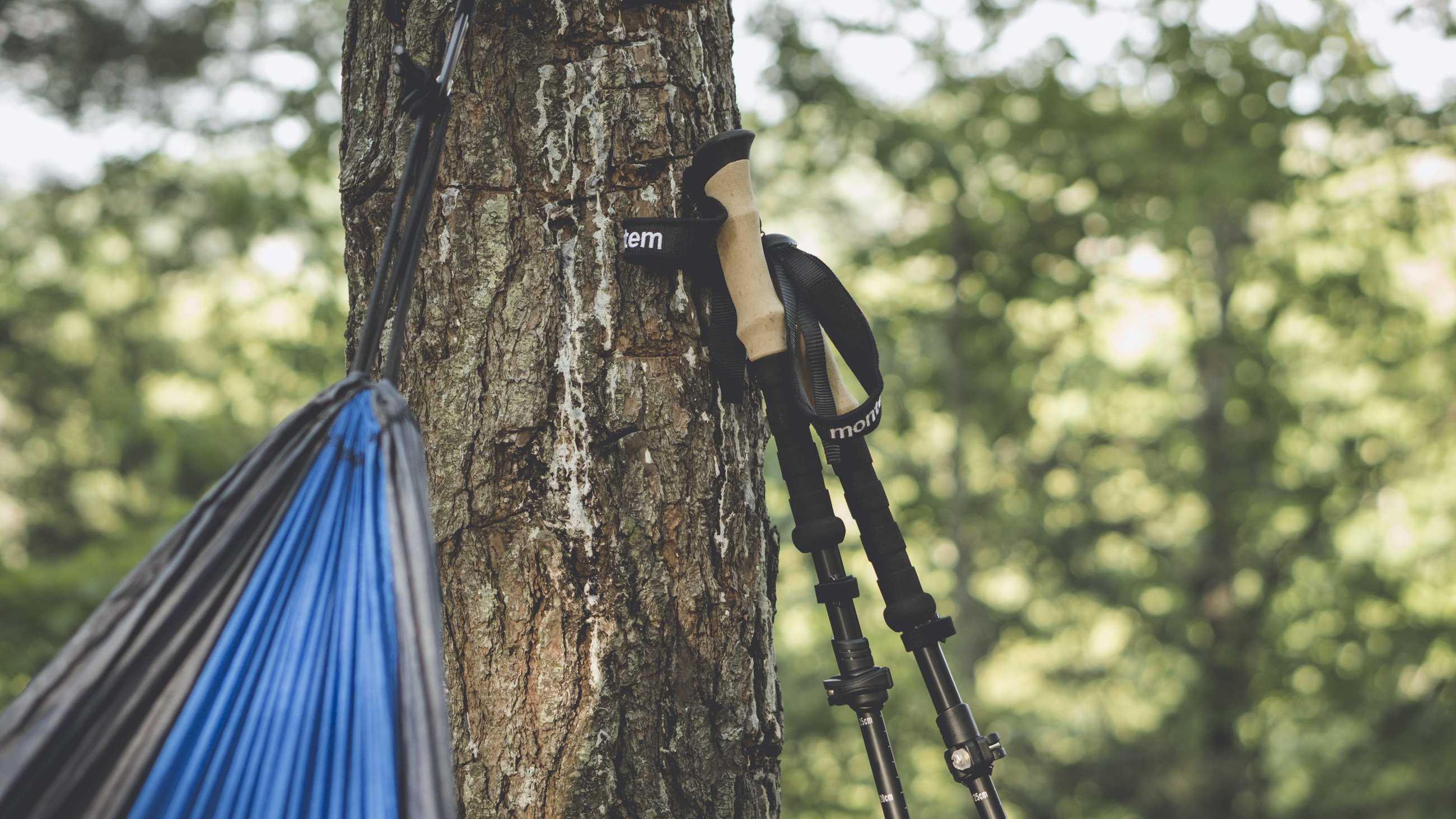 Montem Trekking Poles Review