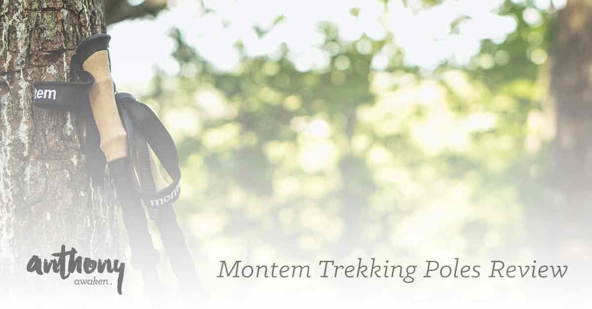 Montem trekking fashion pole review