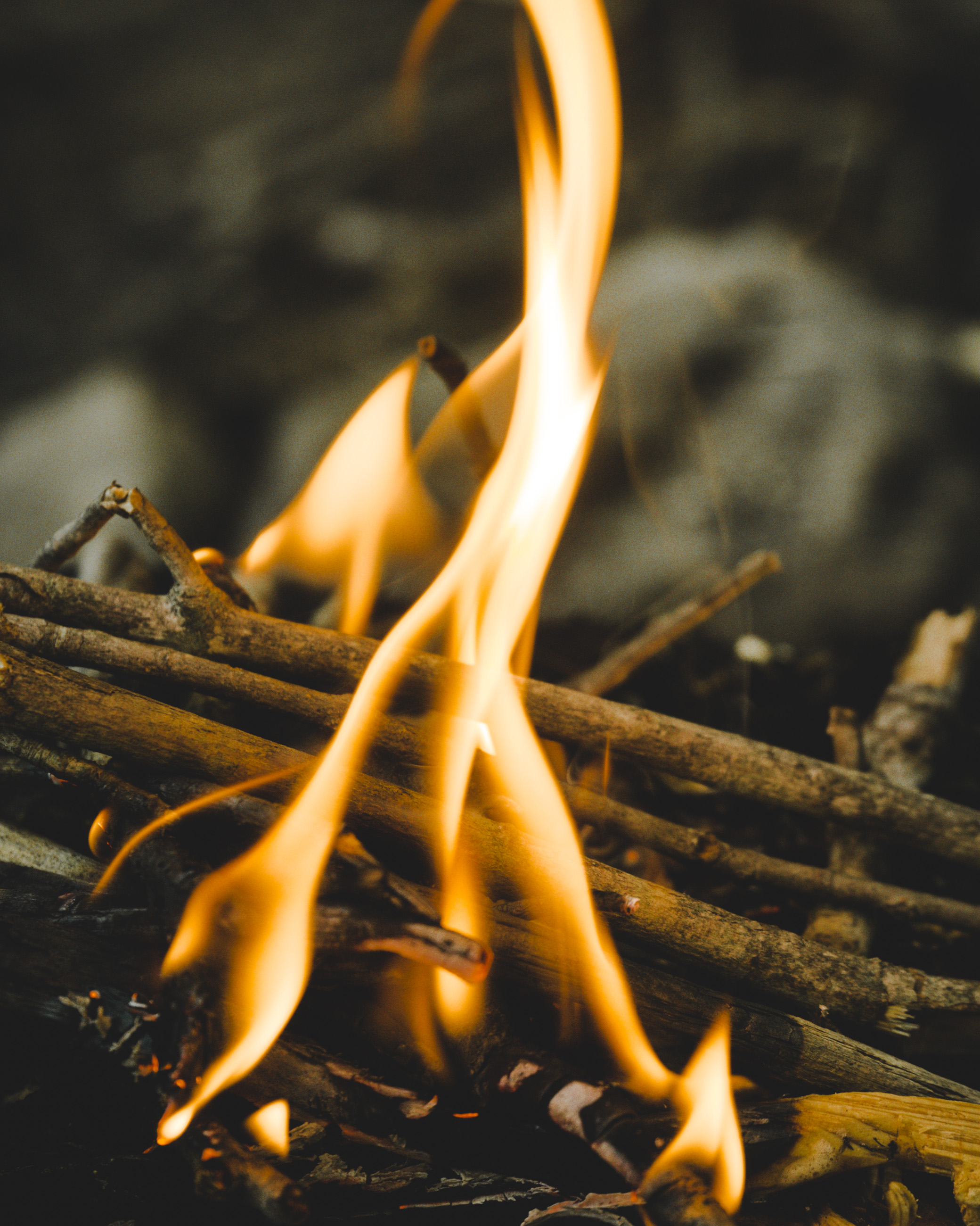 campfire-cooking_3 • Anthony Awaken