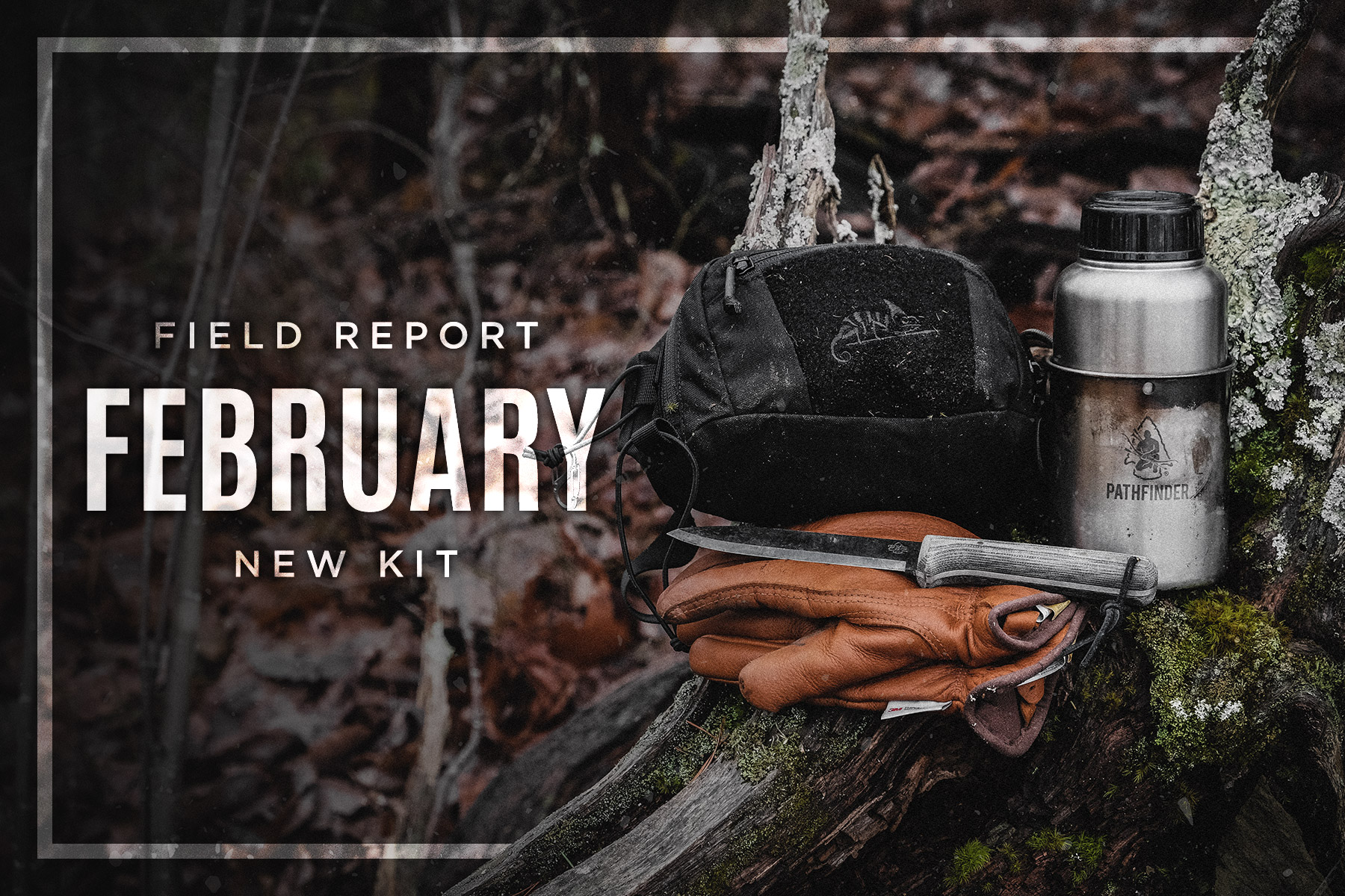 Field Report February 2019