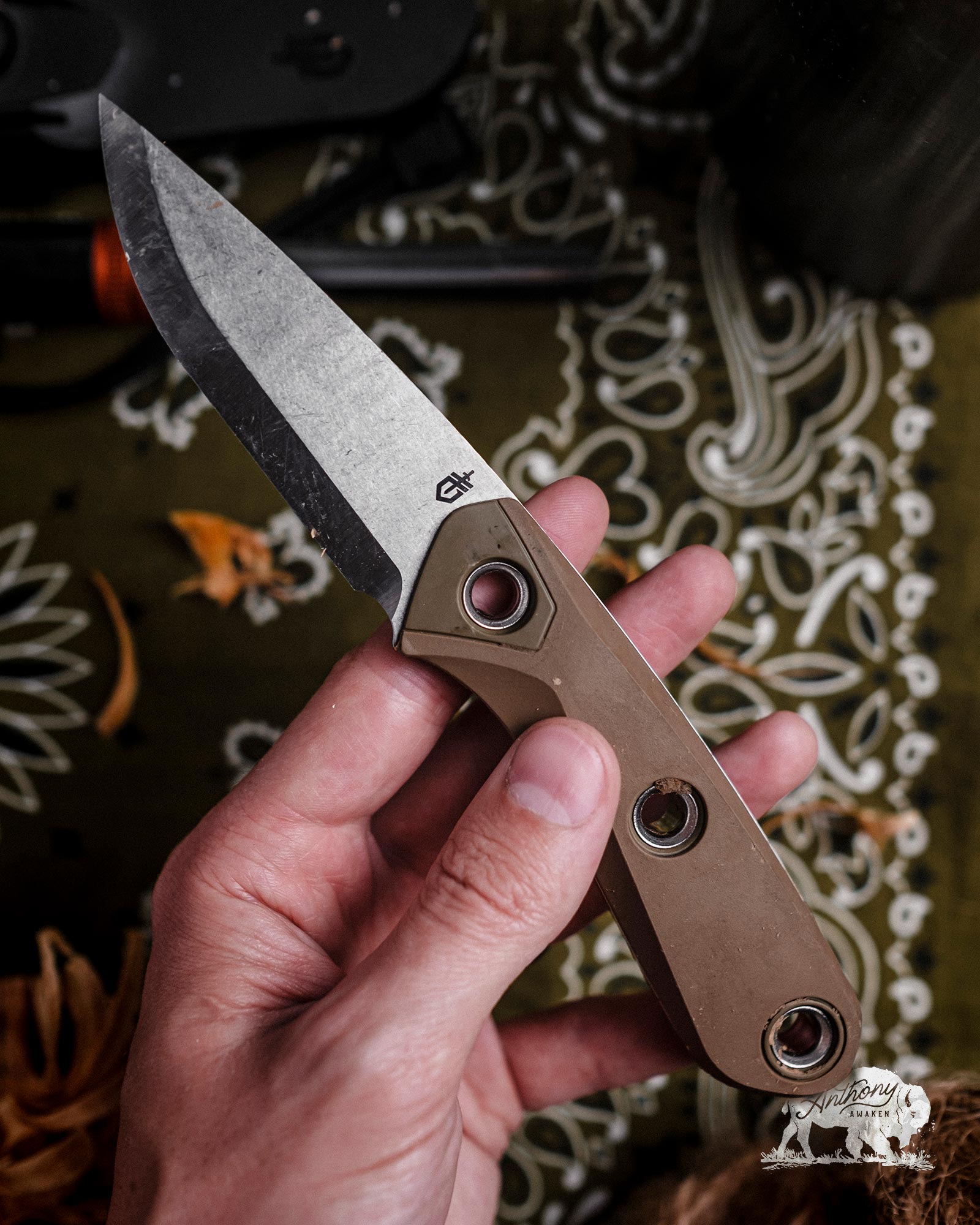 Gerber Principle Review • Best small bushcraft fixed blade knife?