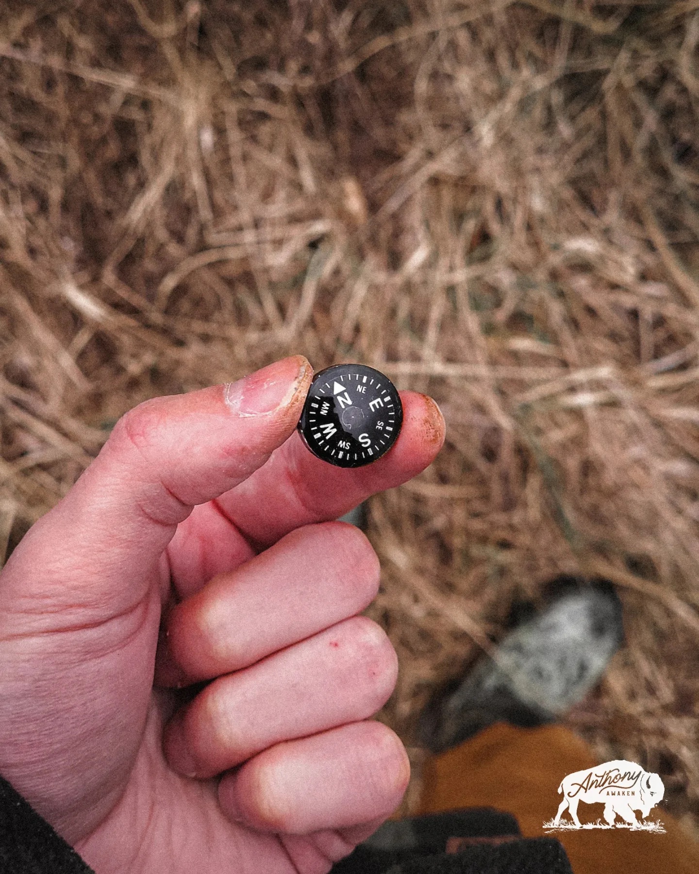 Wazoo Survival Button Compass